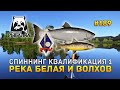 Спиннинг Квалификация 1. Река Белая и Волхов - Русская Рыбалка 4 #189