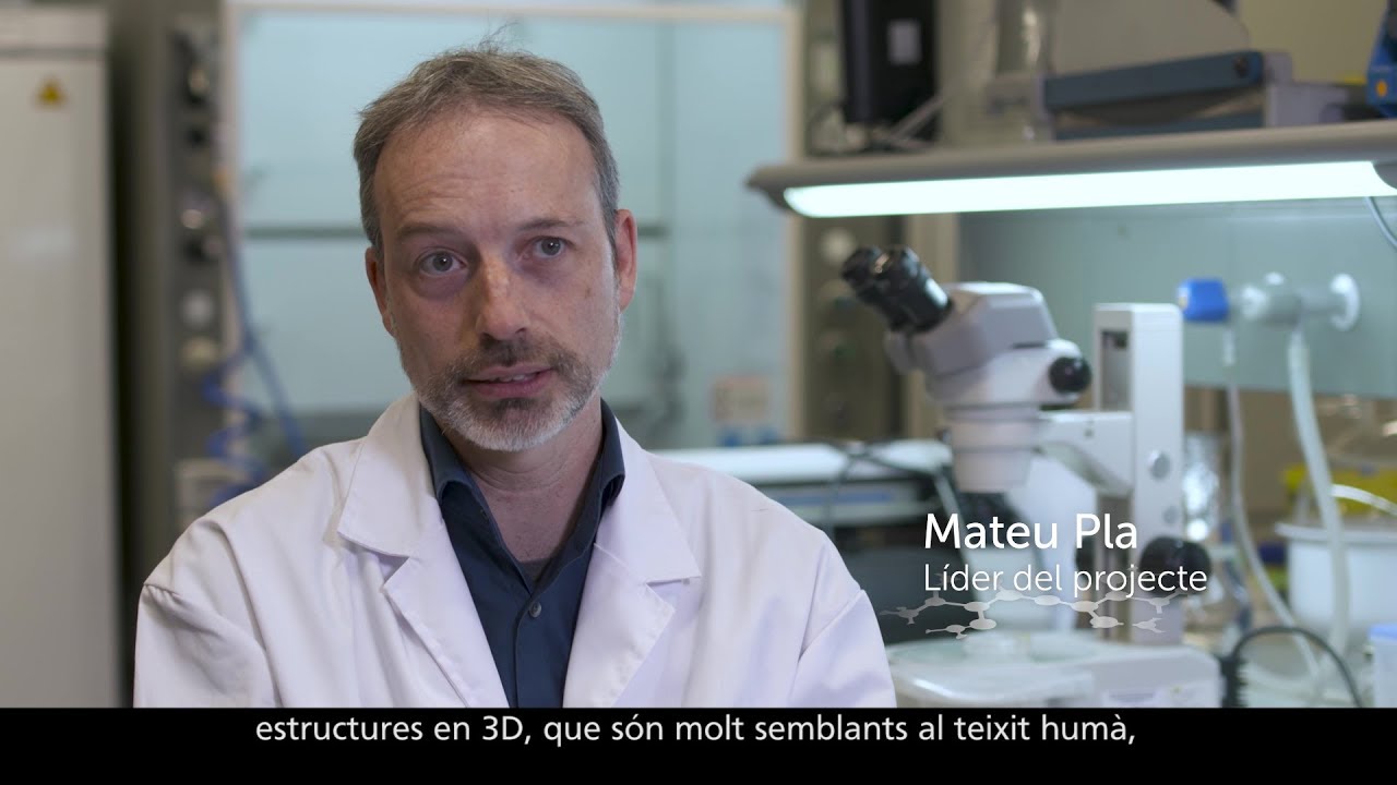 kxan traffic 3DBIOcores - CaixaImpulse 2017
