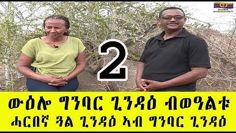 EMNA : ውዕሎ ግንባር ጊንዳዕ ብወዓልቱ || Remembering Battle of Gindae || Eritrean media net Asmera Part 2