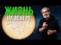 На Венере обнаружена жизнь? Разбор международной сенсации.