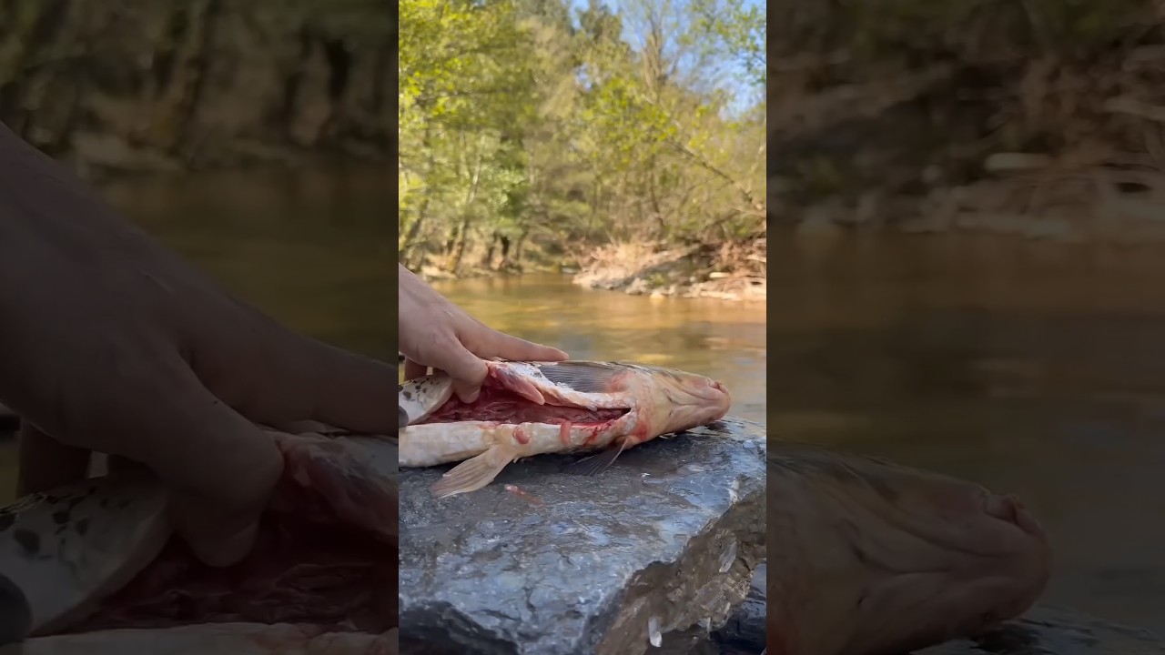 subscribe please my channel 😭 