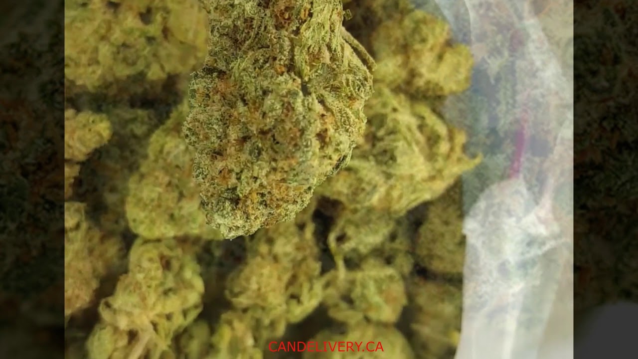 Candelivery- GRAND DADDY PINK will blow your mind