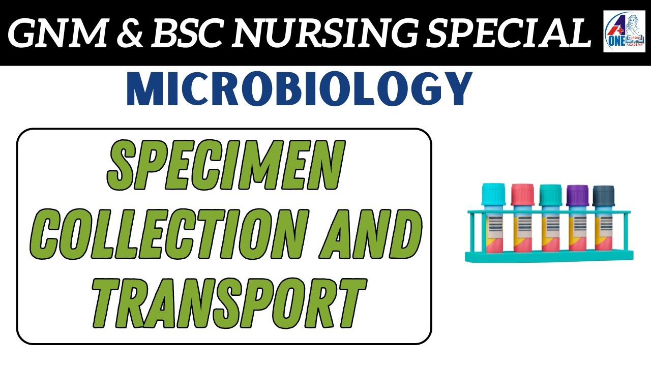 Specimen Collection and Transport in Hindi | Microbiology | Unit ...