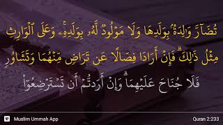 Al-Baqarah ayat 233
