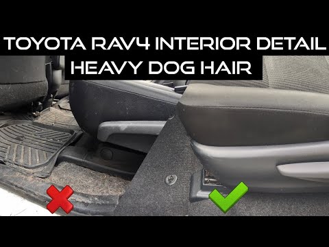 Interior Detail Rav4- Heavy Dog Hair Action - YouTube
