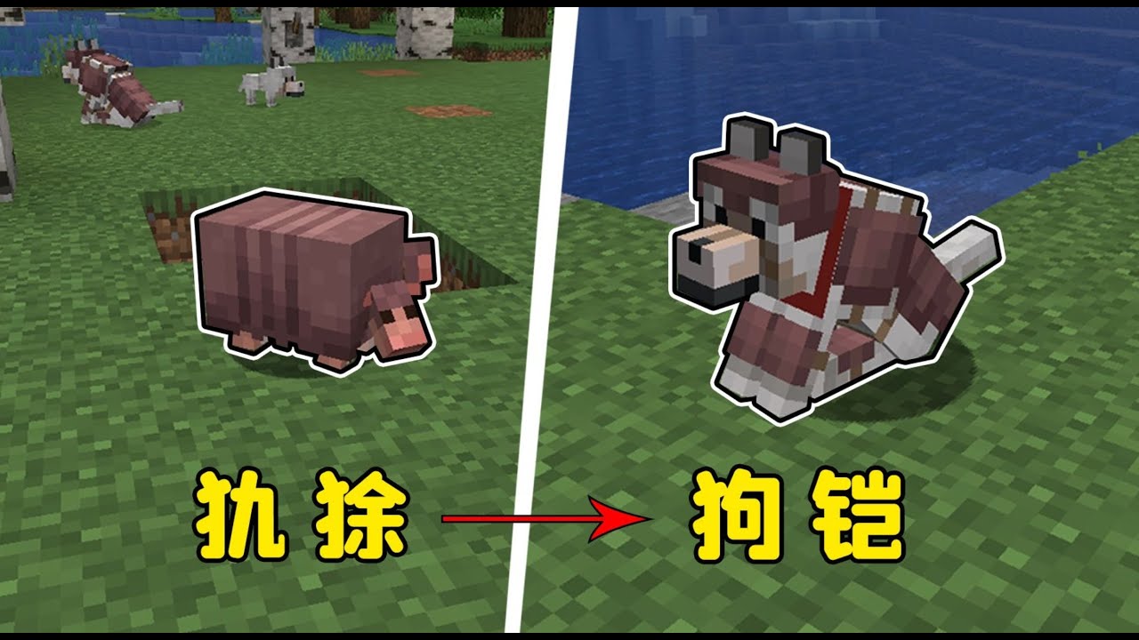 我的世界:犰狳加入MC,狗子解鎖新外觀:土狗#Minecraft #MC #我的世界 - YouTube