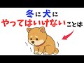 【絶対ダメ】犬への冬のNG行動！