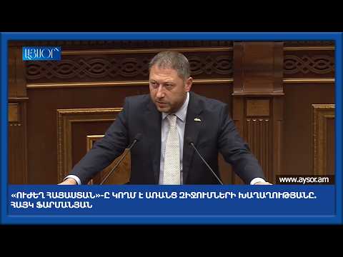 «Ուժեղ Հայաստան»-ը կողմ է առանց զիջումների խաղաղությանը. Հայկ Ֆարմանյան