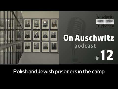 "On Auschwitz" (12): Polish and Jewish prisoners in the camp