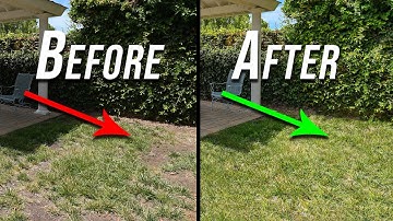 EASY Fill Using the Remove Tool in Photoshop 🔥