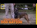 Finding a Dog's Balance | Cesar Millan's Dog Nation