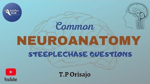 SUPEROLATERAL VIEW of the Brain ||Common NEUROANATOMY STEEPLECHASE Questions (PART 1)