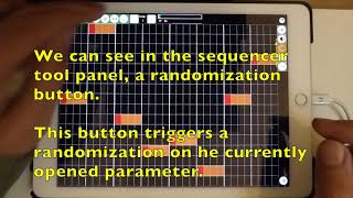 K Machine tutorial: Mapping and Randomization
