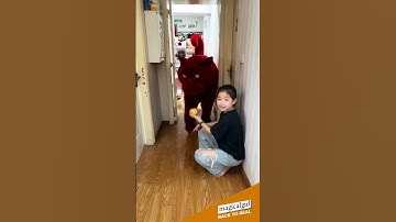 Giant red cat #cat #cats #catlover #catvideos #catshorts  #ai #aivideo #aiart #pets #videoshort