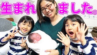 赤ちゃん産まれました！！！himawari-CH