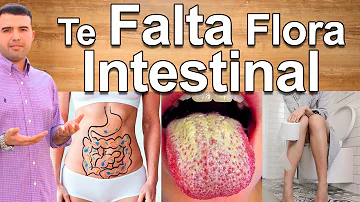 ¿Cuál es el mejor medicamento para recuperar la flora intestinal?