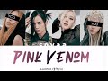 BLACKPINK Pink Venom but you are Jennie and Lisa Color Coded Lyrics Karaoke