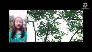 Mount Banahaw Biodiversity (Grade-8 Performance Task)