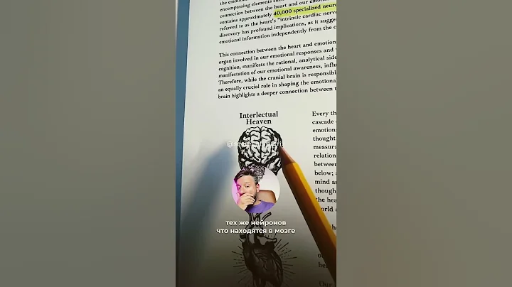 🧠❤️ Мозг против сердца: кто на самом деле управляет твоей жизнью? #эзотерика #секретыматрицы #наука