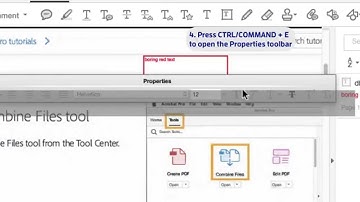 Adobe Acrobat DC - Customizing text in a comment