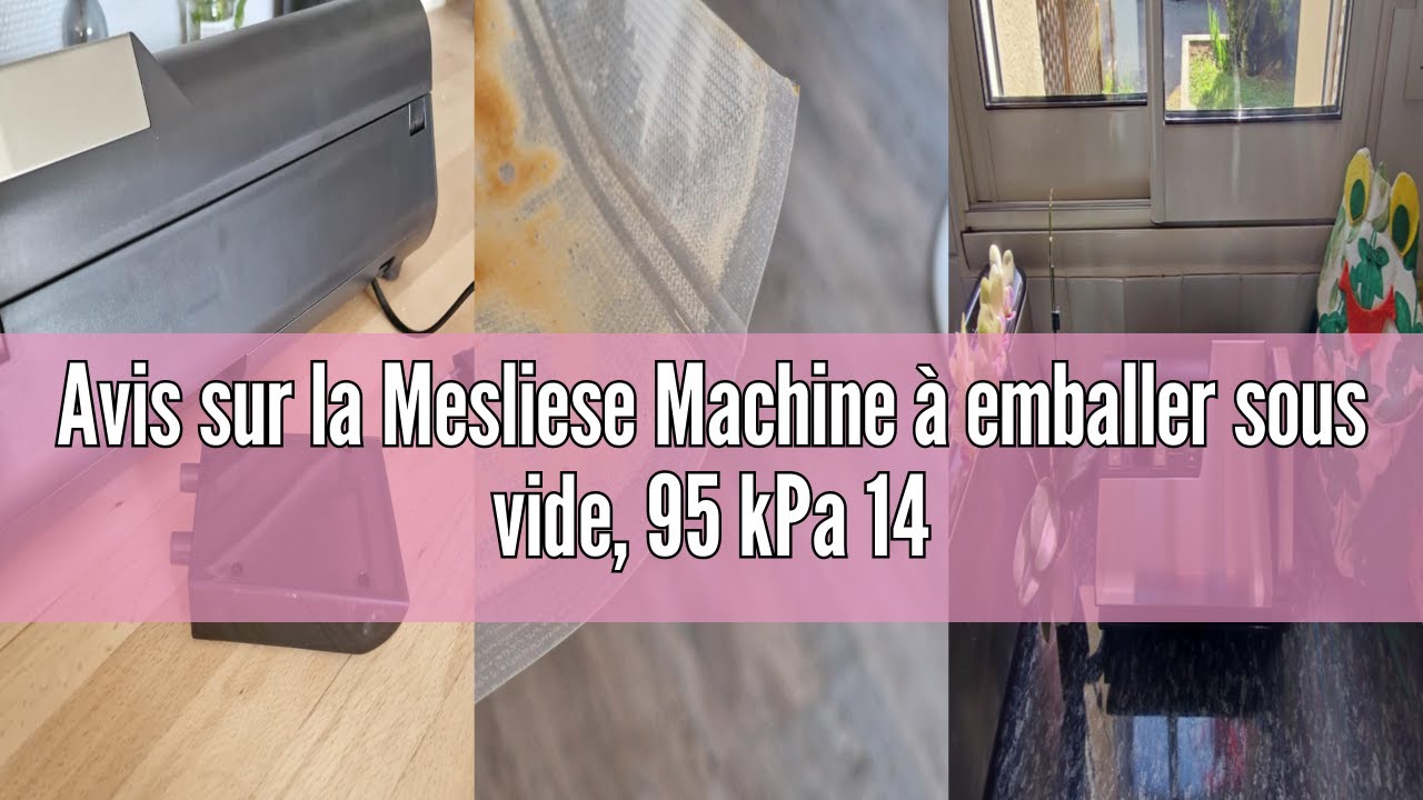 Machine de Mise sous Vide Mesliese, 95 kPa 140W Double Sceau, Soudure Machine de Mise sous Vide Mesliese, 95 kPa 140W Double Sceau, Soudure