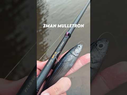 Flounder Choked Swimbait