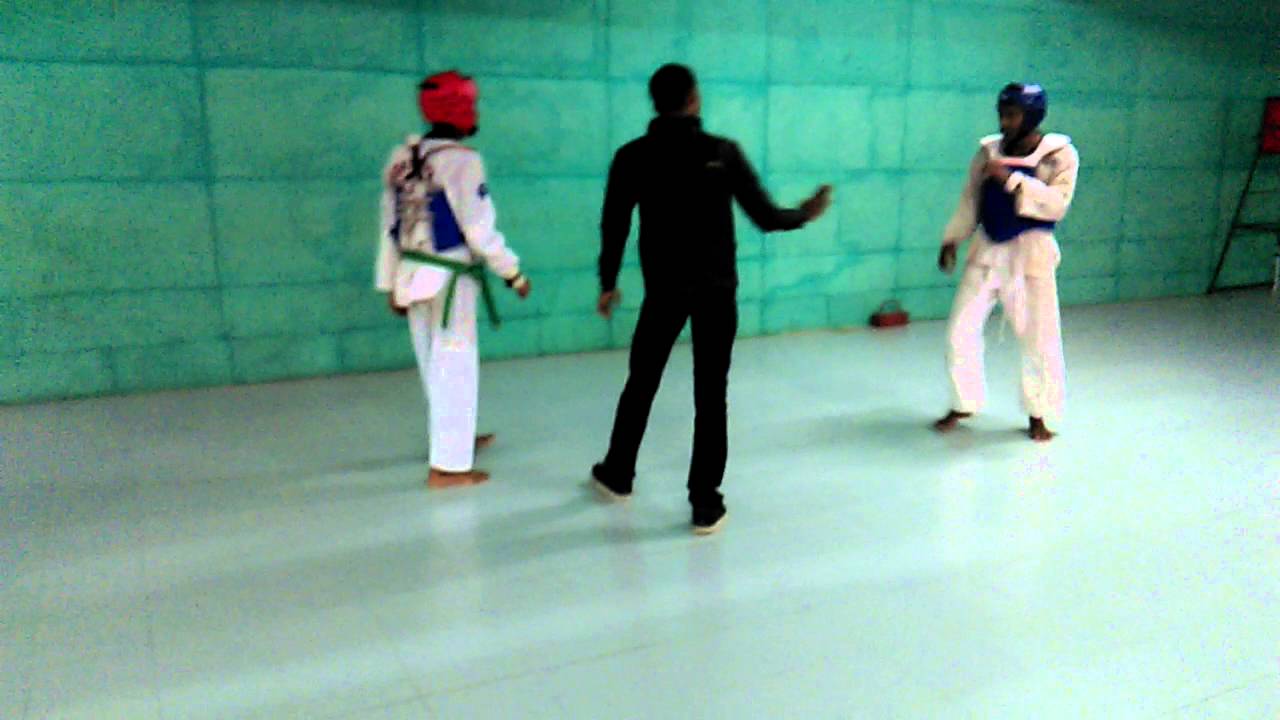 taekwondo training for beginners YouTube