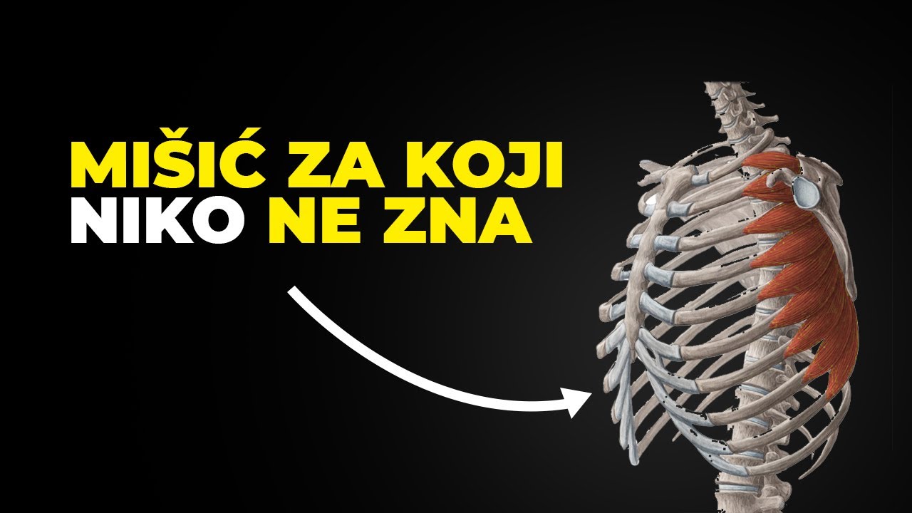 Zaboravljeni Mišić Koji Rešava Bol U Ramenu – Aktiviraj Ga Za Momentalno Olakšanje! 