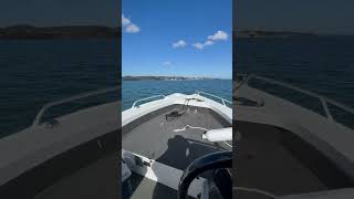 Quintrex 430 top ender with Suzuki 60hp - take off with a hydrofoil #boating #suzuki #quintrex