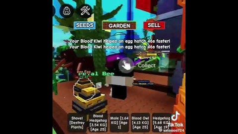 NEW EGG PREDICTOR!!! CHECK COMMENT FOR SCRIPT