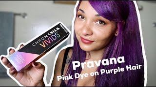 Pink Hair Dye on Purple Hair? (Trying Pravana Vivids Magenta on Faded Purple Hair)