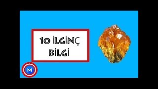 Harika Görünen Ve Çok Zehirli Olan 10 Taş