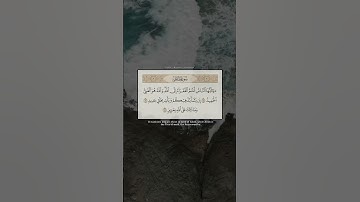 ياأيها الناس انتم الفقراء إلى الله والله هو الغني الحميد / من سورة فاطر : القارئ ياسر الزيلعي ..