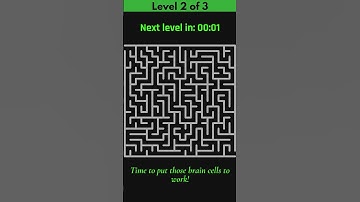 Maze Brain Game Challenge: Can You Solve All 3 Levels? 🧩
