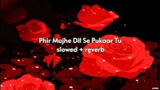 Phir Mujhe Dil Se Pukar Tu { slowed   reverb } | Valentine Special  | Mohit Gaur