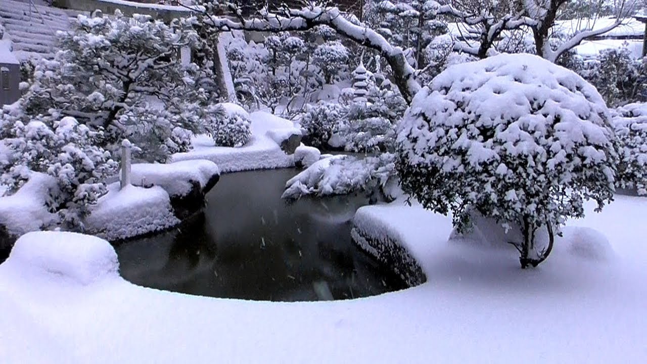 “なんちゃって雪国”　南国愛媛に雪が降るワケ　八幡浜市真穴地区