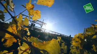 Waldviertel - Zu Jeder Jahreszeit Eine Reise Wert Herbst