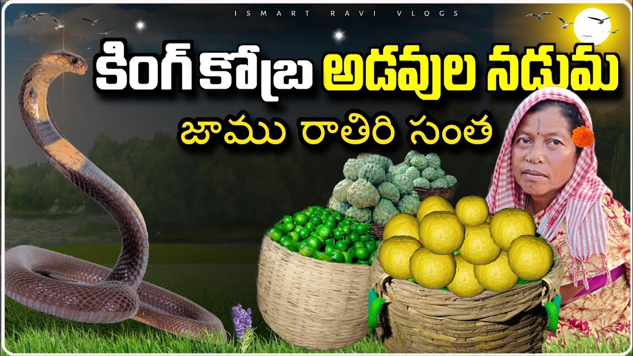 కింగ్ కోబ్ర అడవుల సమీప సంత | biggest forest manyam tribal market | #village