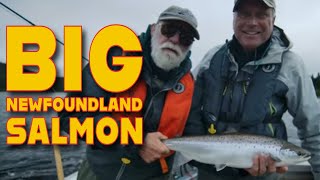 Wild Waters Mighty Salmon