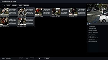 New SystemUI Smart Search Human Body Detection