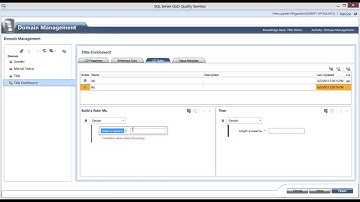 Adding Business Rules to a Data Quality Services (DQS) Domain