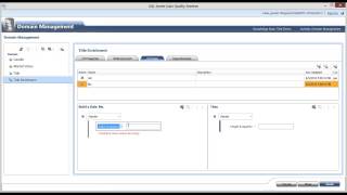 Adding Business Rules to a Data Quality Services (DQS) Domain