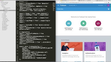 Back @ TACC - Ionic Chat 03: Setting up a Firebase project