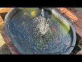 Feeding Goldfish Episode 31 Feeding Goldfish Episode 31