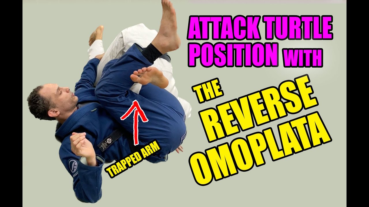 Attack Turtle Position with REVERSE OMOPLATA (BJJ/JiuJitsu/Judo Newaza