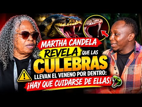 🔥Martha Candela Revela que las Culebras Llevan el Veneno por Dentro: ¡Hay que Cuidarse de Ellas!🐍
