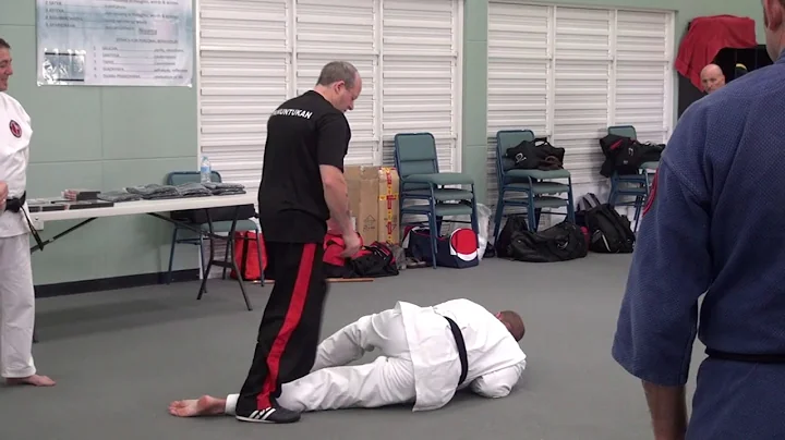 Martial arts Australian Seminar Vol 1 with GM Angelo