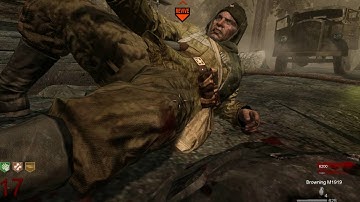 CoD WaW: Zombie Pogreb Coop #6