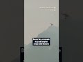 Le feu est contenu dans le département du Var mais l'alerte est loin d'être passée - #shorts