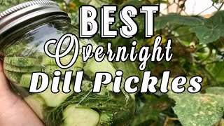 No canning DILL PICKLES | Overnight refrigerator pickles